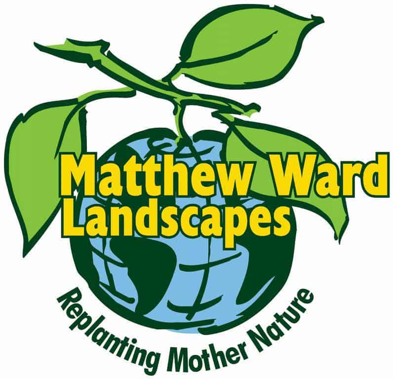 Matthew Ward Landscapes